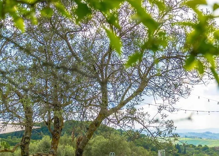 Farma Pascianella Bel Tramonto Castelmuzio